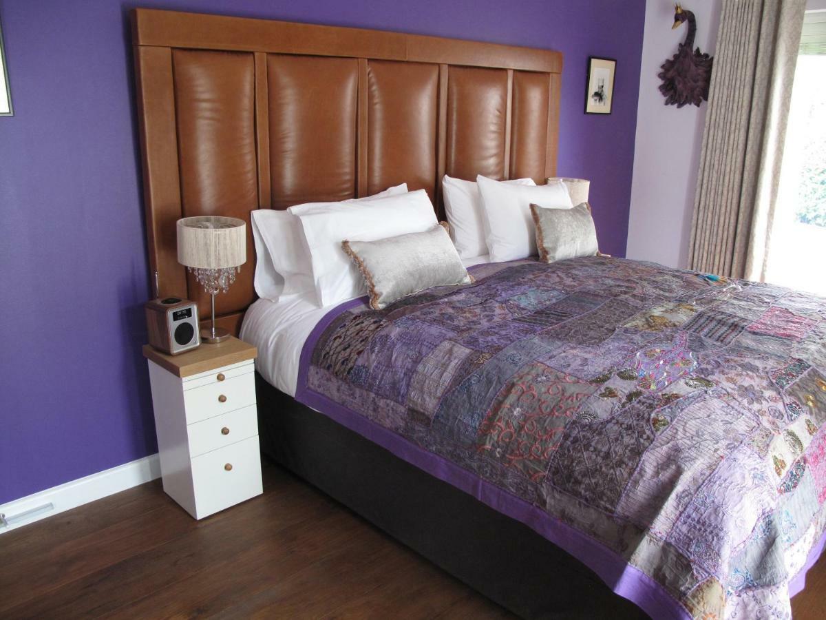 Piglets Boutique Country Stay - Winner Best B&B And Guest House Of The Year - Visitengland 2023 萨弗伦沃尔登 外观 照片